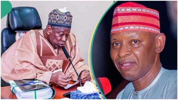 Shadow government erupts in Kano as APC, NNPP enters major battle