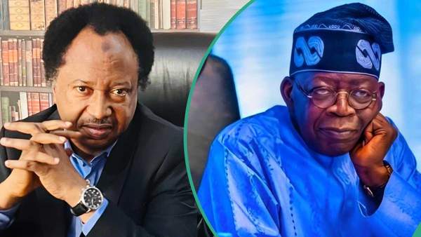 "Displaced politicians": Top PDP chieftain spits fire as Shehu Sani, Nigerian lawmakers return to APC