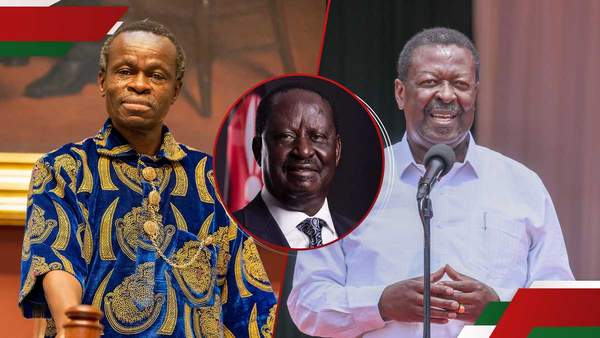 PLO Lumumba calls for sacking of Mudavadi over Raila's AUC loss: "Cantankerous to the hilt"