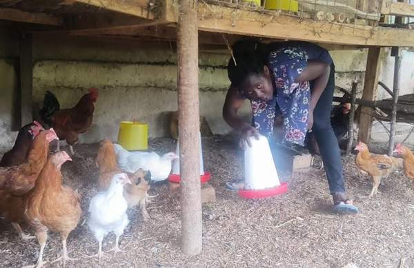 Youth undertaking commercial farming to eke a living