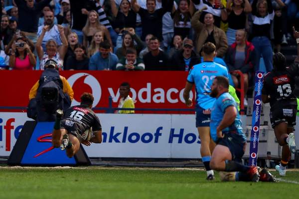 Watch: Sharks frenzy lights up Loftus