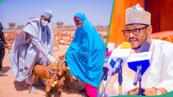 “It cost N5.7 billion”: Nigerian gov commences distribution of 40,000 goats, names beneficiaries