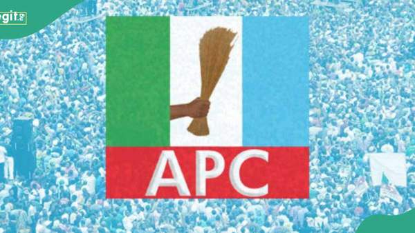 APC LG chairmen, councillors resume in 14 councils in popular south-west state