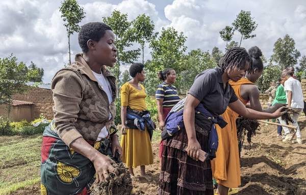 Unsustainable farming practices threaten soil health in Virunga mountains