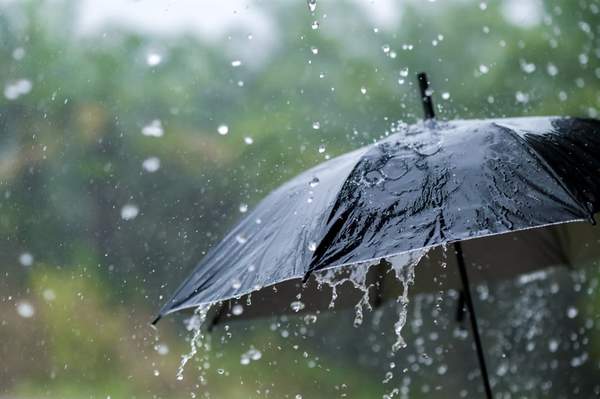News24 | Wednesday's weather: Rain to batter KZN, Eastern Cape; cloudy and cool for rest of SA
