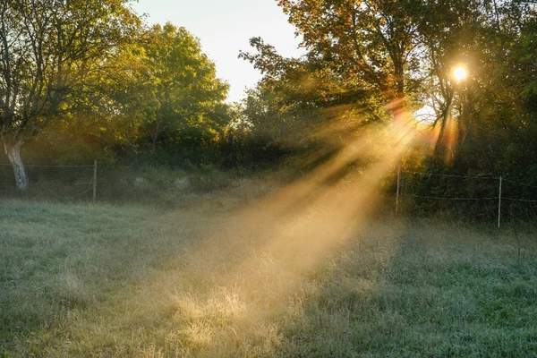 News24 | Thursday's weather: Morning fog, isolated showers, and hot conditions forecast across SA