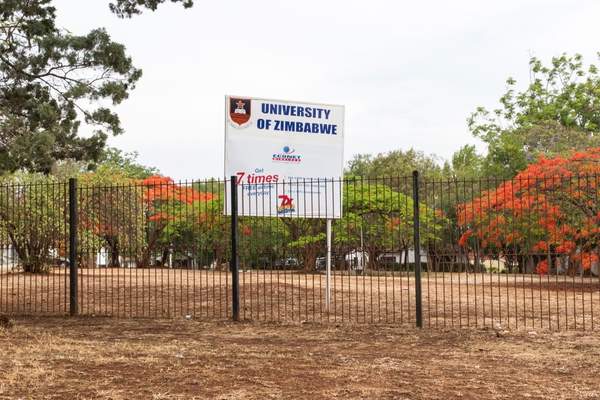 News24 | Zimbabwe lecturers, organisers arrested for demonstration over 'paltry salaries'