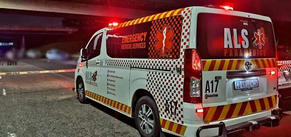 News24 | Boy, 4, critically injured after attack by a 'family dog' in KZN