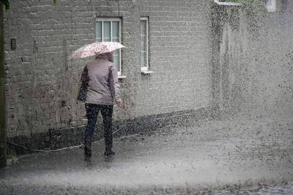News24 | Thursday's weather: Widespread rain and cool conditions sweep across multiple regions