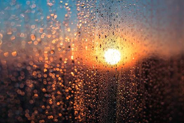 News24 | Friday's weather: Scattered showers, foggy conditions, and strong winds expected across SA