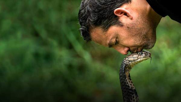 What to stream: A must-watch experience, magician David Blaine does death defying stunts in Mzansi