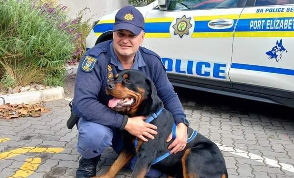 News24 | 'He is like my son': Cop and K9 partner's unbreakable crime-fighting bond