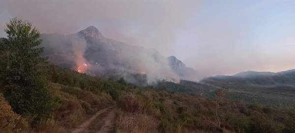 News24 | Preliminary probe suggests Tokai blazes 'started deliberately', firefighting efforts ongoing