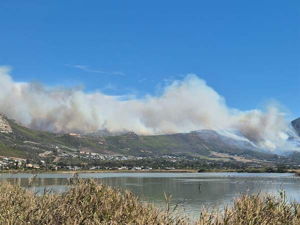 News24 | Hikers evacuated at Silvermine Nature Reserve as firefighters battle fierce blaze