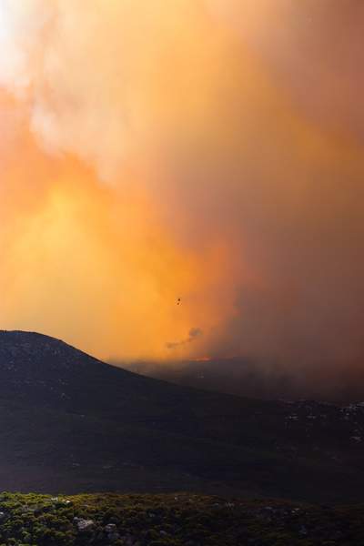 News24 | WATCH | Retirement village evacuated as raging Silvermine fire spreads down mountain