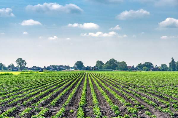 News24 Business | OPINION | Adapting to climate change is the recipe for food security