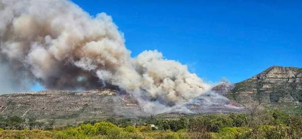 News24 | Cape Town blaze: Wildfire still raging as animal welfare inundated with cases