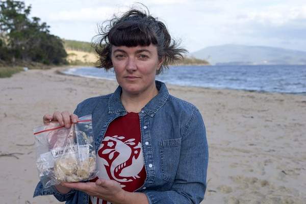 News24 | Dead salmon create election stink on Australian island
