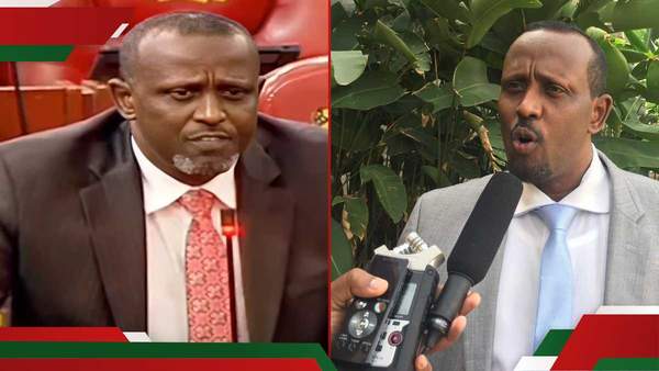 Mandera MP who said "people die we move on" apologises, claims remarks were taken out of context