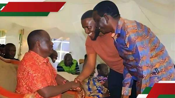 TBT photo of Ong'ondo Were introducing son Boyd to Raila Odinga emerges: "Let him take mantle"