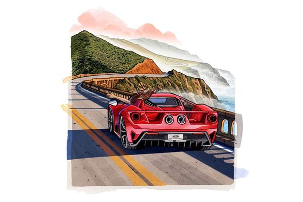 Elana Scherr: The Best Cars Have Been Places, So Take It Out and Drive It